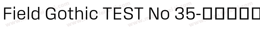 Field Gothic TEST No 35字体转换